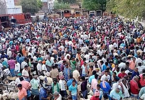  ரூ.3 கோடிக்கு ஆடுகள் விற்பனை