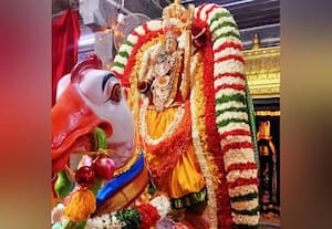  ஹம்ச வாகனத்தில் எழுந்தருளிய கோதண்டராமர்