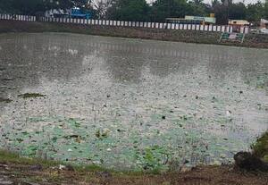  எல். எண்டத்துாரில் பெருமாள் கோவில் குளம் சீரமைக்க பக்தர்கள் கோரிக்கை