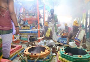  திருப்பாதிரிப்புலியூர் பாடலீஸ்வரர் கோவிலில்  கும்பாபிஷேகம்