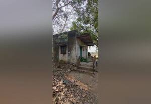  சல்லி கோடாங்கிபட்டியில் மிரட்டும் வனக்குழு கட்டடம்