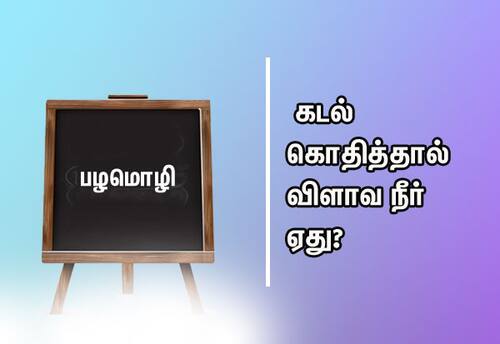  பழமொழி