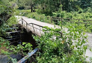  ஓராண்டுக்கு மேல் பஸ் வரவில்லை :மகா தவிப்பில் மலை கிராம மக்கள்