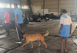  கடையின் பூட்டை உடைத்து ரூ.3.5 லட்சம் கொள்ளை