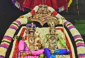  ராமர் - சீதா திருக்கல்யாணம் விமரிசை