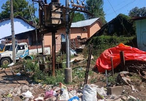  குப்பையால் தாண்டிக்குடியில் மின்விபத்து அபாயம்