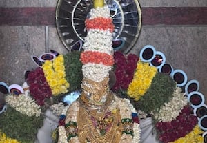  பகவதி அம்மன் கோயில்  விழா