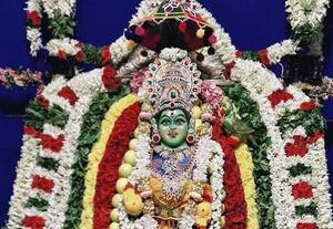  சுதந்திர நல்லுார் கோவில் பூச்சாட்டு விழா