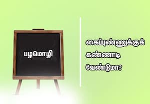  பழமொழி:  கைப்புண்ணுக்குக் கண்ணாடி வேண்டுமா? 