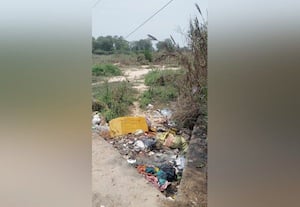  குப்பை கழிவுகளால்  நாசமாகும் கொசஸ்தலை ஆற்றின் நீர்வளம்