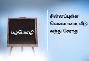 பழமொழி;  சின்னப்புள்ள வெள்ளாமை வீடு வந்து சேராது.