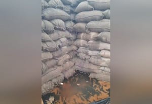  300 நெல் மூட்டைகள் மழையில் நனைந்து சேதம்