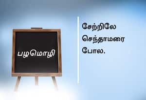  பழமொழி :  சேற்றிலே செந்தாமரை போல.