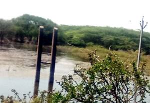  சீமைக்கருவேலம் காடாகும் சக்கரக்கோட்டை கண்மாய்: துார்வாரி ஆழப்படுத்த கோரிக்கை இங்கு வந்து செல்லும் பறவைகளும் பாதிப்பு