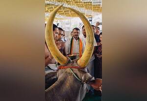  கோ பூஜை செய்து தேர்தல் அலுவலகம் திறப்பு