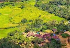  'கர்நாடகாவின் மாஞ்சோலை' காகினகெரே கிராமம்