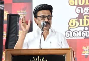 தி.மு.க., அரசு சாதனை பட்டியலை விட பழனிசாமி துரோக பட்டியல் நீளம்: முதல்வர் ஸ்டாலின் விமர்சனம்