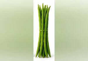  முருங்கை ஏற்றுமதி 40% சரிவு உள்நாட்டில் விற்க முயற்சி