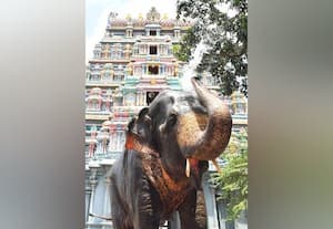 சிவகங்கை மாவட்டம்  நிகழ்ச்சிகள்