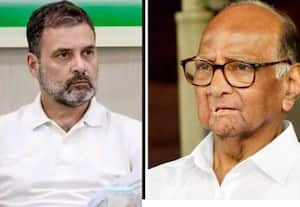 ராகுலுக்கு சரத் பவார் அட்வைஸ்!