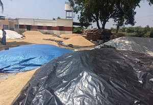  நெல் சேமிப்பு கிடங்கு இல்லாததால் கரும்பாக்கம் விவசாயிகள் அவதி