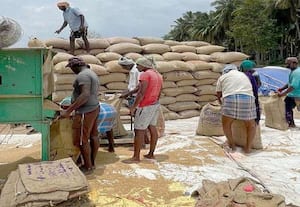    ஏக்கருக்கு 70 மூட்டை நெல் கொள்முதல் உத்தரவு. காற்றில் பறக்குது! .. கணினியில் பதிவாகாது என மறுக்கும் அதிகாரிகள்