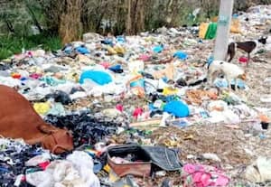  விஸ்வரூபம் எடுக்கும் குப்பை கிடங்கு பிரச்னை: தொடர் போராட்டங்களால் விடிவு இல்லை