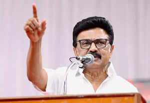 இல்லாததை பேச வேண்டிய அவசியமில்லை: முதல்வர் ஸ்டாலின் பதில்