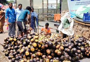  வெயிலின் தாக்கத்தால் நுங்கு விற்பனை ஜோர்
