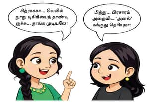  தேர்தல் பார்வையாளர்கள் 'இன்பச் சுற்றுலா'