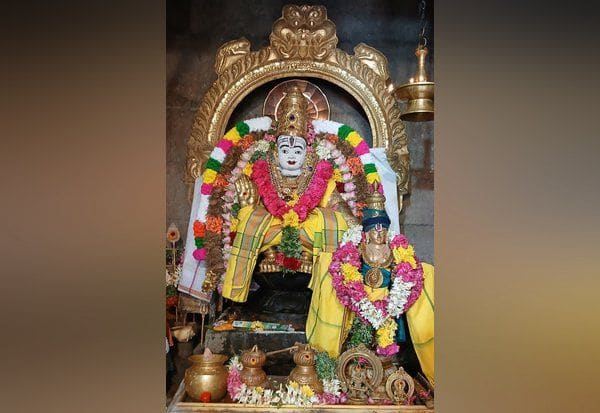  தமிழ்ப்புத்தாண்டு: ஐயப்பன் கோயில்களில் விசுக்கனி தரிசனம்