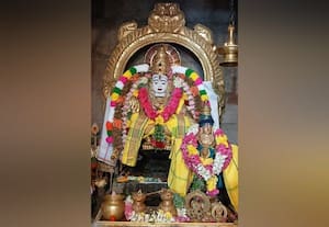  தமிழ்ப்புத்தாண்டு: ஐயப்பன் கோயில்களில் விசுக்கனி தரிசனம்