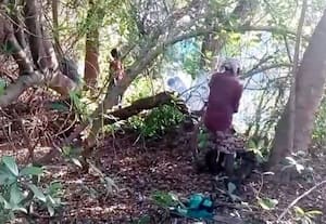  சோளீஸ்வரர் கோவில் நிலத்தில் மரங்கள் திருட்டு