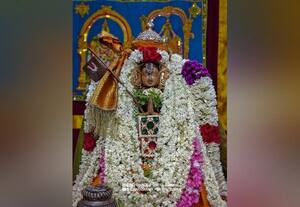 வில்லியனுார் பெருமாள் கோவிலில் ராமானுஜர் திருநட்சத்திர உற்சவம்