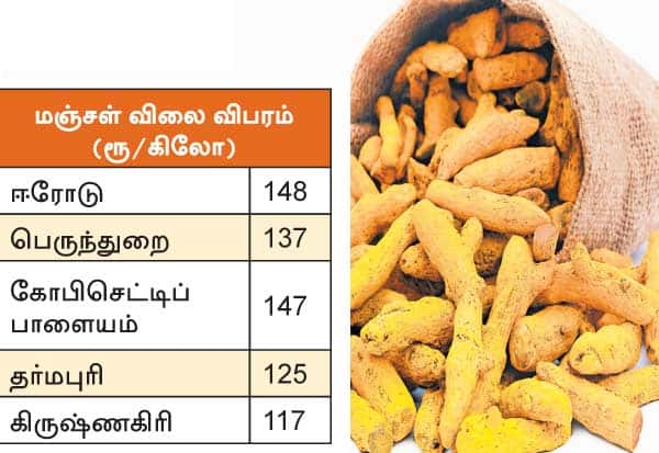  மஞ்சளை பாதிக்காத மேற்காசிய போர் கூடுதல் விலையில் தொடர் ஏற்றுமதி