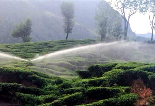  கேரளாவில் ஏப்.,18 வரை வெப்பம் அதிகரிக்கும்