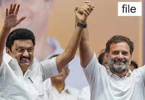 தொகுதி மறுவரையறை விவகாரம்: ராகுலுடன் முதல்வர் ஸ்டாலின் போனில் பேச்சு