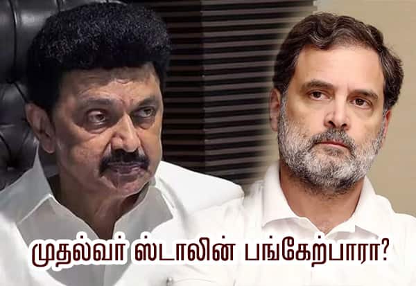ராகுல் நாளை தமிழகம் வருகை; காங்., தொகுதிகளில் பிரசாரம்