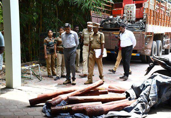  லாரியில் செம்மர கட்டைகள் கடத்தல்; ரூ.1 கோடி மதிப்பில் 2 டன் பறிமுதல்; விழுப்புரம் அருகே லாரி உரிமையாளர் கைது