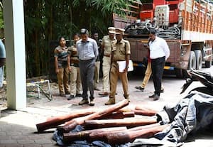  லாரியில் செம்மர கட்டைகள் கடத்தல்; ரூ.1 கோடி மதிப்பில் 2 டன் பறிமுதல்; விழுப்புரம் அருகே லாரி உரிமையாளர் கைது