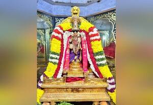  சரநாராயண பெருமாளுக்கு சிறப்பு அலங்காரம் 