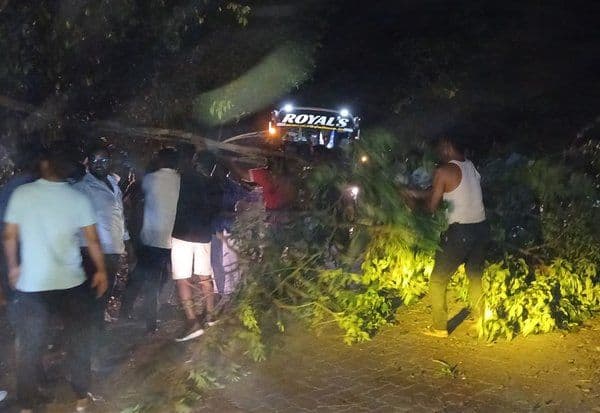  ' கொடை' ரோட்டில் விழுந்த மரம்