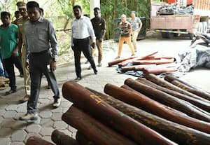 செம்மர கட்டை கடத்திய லாரி உரிமையாளர் கைது