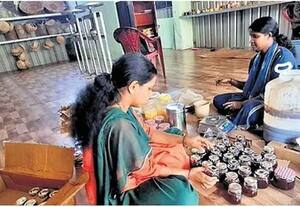  கொரக சமுதாய பெண்களுக்கு வாழ்வாதாரமான தேன் சேகரிப்பு தொழில்