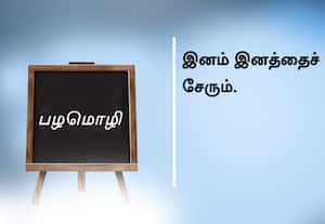  பழமொழி :  இனம் இனத்தைச் சேரும்.