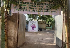  பச்சைக் கம்பளம் விரித்து வரவேற்கும் ஓட்டுச்சாவடி