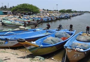  மீன்பிடி தடைகாலம் எதிரொலி பழவேற்காடில் ஓய்வெடுக்கும் படகுகள்