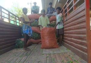  பண்ருட்டியில் இருந்து கர்நாடகாவிற்கு பச்சை மிளகாய் ஏற்றுமதி