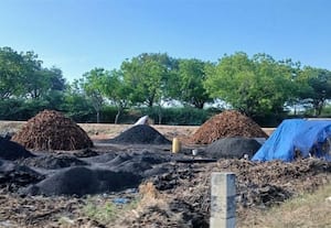  கரிமூட்டம் தொழிலில் விவசாயிகள் மும்முரம்