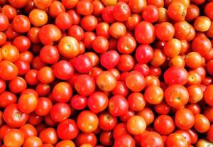  மானாமதுரை வாரச்சந்தையில் தக்காளி விலை உயர்வு